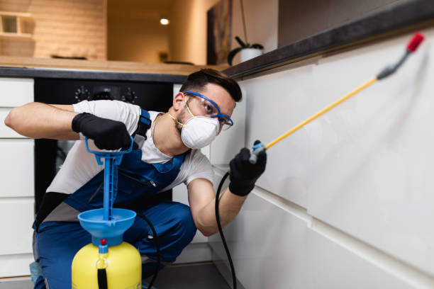Best Local Pest Control Services  in Del Rey Oaks, CA