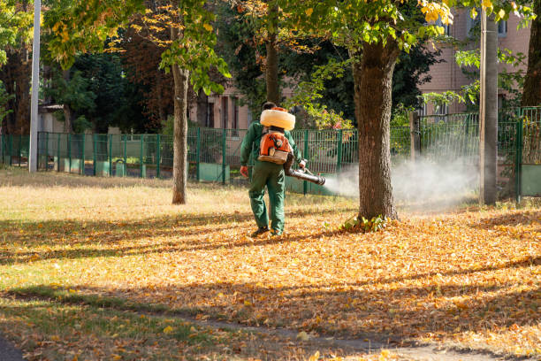 Best Rodent Control Near Me  in Del Rey Oaks, CA