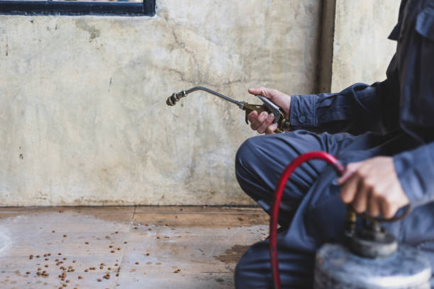 Best Pest Prevention Services  in Del Rey Oaks, CA